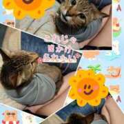 ヒメ日記 2025/07/04 20:59 投稿 にこ One More 奥様　松戸店