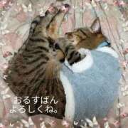 ヒメ日記 2025/11/21 20:34 投稿 にこ One More 奥様　松戸店