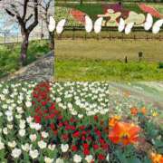 ヒメ日記 2026/04/04 00:14 投稿 にこ One More 奥様　松戸店