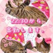 ヒメ日記 2026/05/08 20:04 投稿 にこ One More 奥様　松戸店