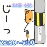 ヒメ日記 2026/05/22 01:24 投稿 にこ One More 奥様　松戸店