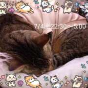 ヒメ日記 2026/07/03 00:54 投稿 にこ One More 奥様　松戸店