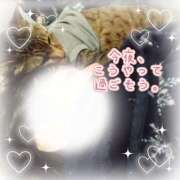 ヒメ日記 2026/10/11 15:44 投稿 にこ One More 奥様　松戸店