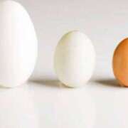 ヒメ日記 2025/02/05 01:36 投稿 ありさ 横浜駅前M性感rooM