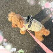 ヒメ日記 2025/01/07 20:01 投稿 モネ Club 妻