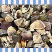 ヒメ日記 2025/04/21 19:14 投稿 モネ Club 妻