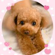 ヒメ日記 2025/04/26 08:37 投稿 モネ Club 妻