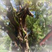 ヒメ日記 2025/05/03 09:07 投稿 モネ Club 妻