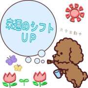 ヒメ日記 2025/05/28 08:38 投稿 モネ Club 妻