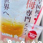 ヒメ日記 2025/06/01 22:10 投稿 モネ Club 妻