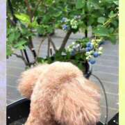 ヒメ日記 2025/06/08 21:09 投稿 モネ Club 妻