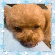 ヒメ日記 2025/06/10 21:21 投稿 モネ Club 妻