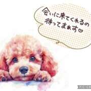 ヒメ日記 2025/06/13 08:46 投稿 モネ Club 妻