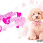 ヒメ日記 2025/06/14 08:45 投稿 モネ Club 妻