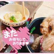 ヒメ日記 2025/06/15 20:29 投稿 モネ Club 妻