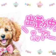 ヒメ日記 2025/06/21 08:31 投稿 モネ Club 妻