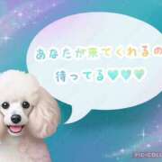 ヒメ日記 2025/06/27 08:31 投稿 モネ Club 妻