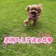 ヒメ日記 2025/06/28 08:37 投稿 モネ Club 妻