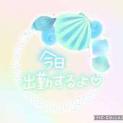 ヒメ日記 2025/07/29 09:04 投稿 モネ Club 妻