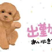 ヒメ日記 2025/08/11 08:48 投稿 モネ Club 妻