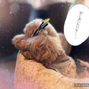 ヒメ日記 2025/08/12 08:44 投稿 モネ Club 妻