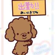 ヒメ日記 2025/08/30 08:42 投稿 モネ Club 妻