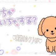 ヒメ日記 2025/09/03 09:04 投稿 モネ Club 妻