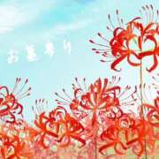 ヒメ日記 2025/09/23 23:29 投稿 モネ Club 妻