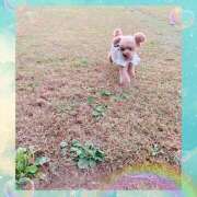 ヒメ日記 2025/10/13 23:12 投稿 モネ Club 妻