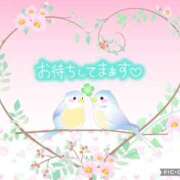 ヒメ日記 2025/10/18 08:52 投稿 モネ Club 妻