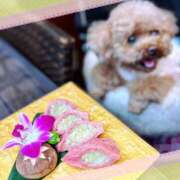 ヒメ日記 2025/11/03 23:07 投稿 モネ Club 妻