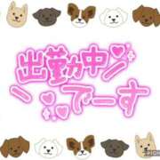 ヒメ日記 2025/11/10 08:33 投稿 モネ Club 妻