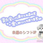 ヒメ日記 2025/11/12 20:38 投稿 モネ Club 妻