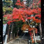 ヒメ日記 2025/11/25 20:50 投稿 モネ Club 妻