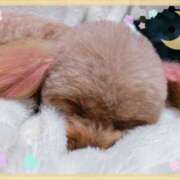 ヒメ日記 2025/11/26 21:42 投稿 モネ Club 妻