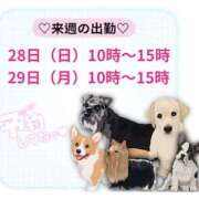 ヒメ日記 2025/12/26 23:51 投稿 モネ Club 妻