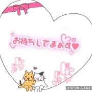 ヒメ日記 2025/12/28 08:44 投稿 モネ Club 妻