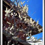 ヒメ日記 2026/02/04 20:18 投稿 モネ Club 妻