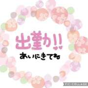 ヒメ日記 2026/03/31 09:14 投稿 モネ Club 妻