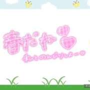 ヒメ日記 2026/04/09 09:05 投稿 モネ Club 妻