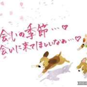 ヒメ日記 2026/04/11 08:36 投稿 モネ Club 妻