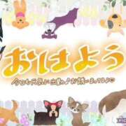 ヒメ日記 2026/04/16 08:58 投稿 モネ Club 妻