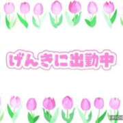 ヒメ日記 2026/04/22 08:29 投稿 モネ Club 妻