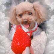 ヒメ日記 2026/04/26 23:53 投稿 モネ Club 妻