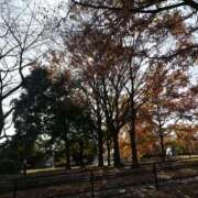 ヒメ日記 2024/12/19 09:40 投稿 りょう 豊満熟女