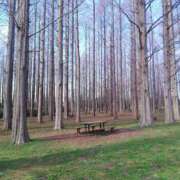 ヒメ日記 2024/12/20 10:16 投稿 りょう 豊満熟女