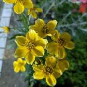 ヒメ日記 2024/12/30 18:22 投稿 りょう 豊満熟女