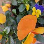 ヒメ日記 2025/02/14 10:22 投稿 りょう 豊満熟女