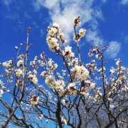 ヒメ日記 2025/02/16 10:50 投稿 りょう 豊満熟女