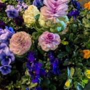 ヒメ日記 2025/02/21 09:30 投稿 りょう 豊満熟女